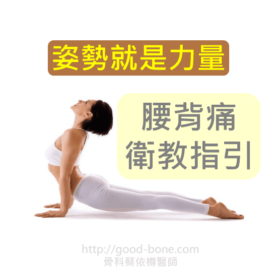 腰背痛 衛教指引｜台中骨科蔡依樽醫師https://www.good-bone.com