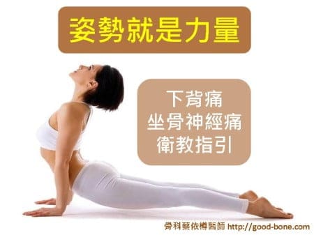 L-spine (1)